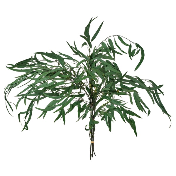 TORKA Torkade växter, bunt/grön, 70 cm
