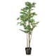 Artificial floor plants