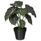 Artificial plants & flowers