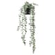 Plants, flowers & gardening tools