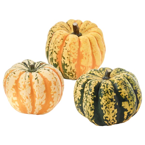 CUCURBITA Okrasna buča, različne vrste