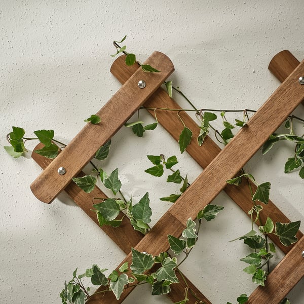 Wooden trellis with green vines mounted on wall, supporting plant growth.
