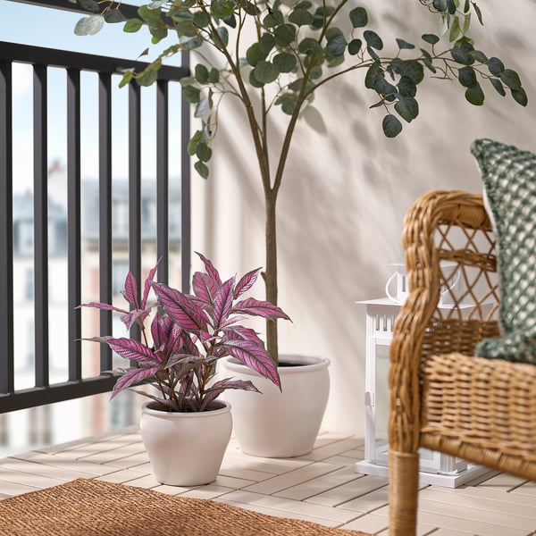 Balcony plant, chair, railing.