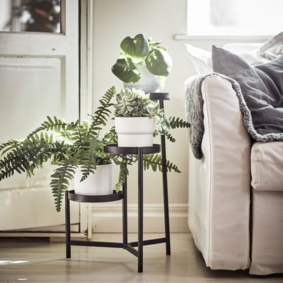 Modern black plant stand with three white pots, various green plants. Next to a grey cushioned couch.