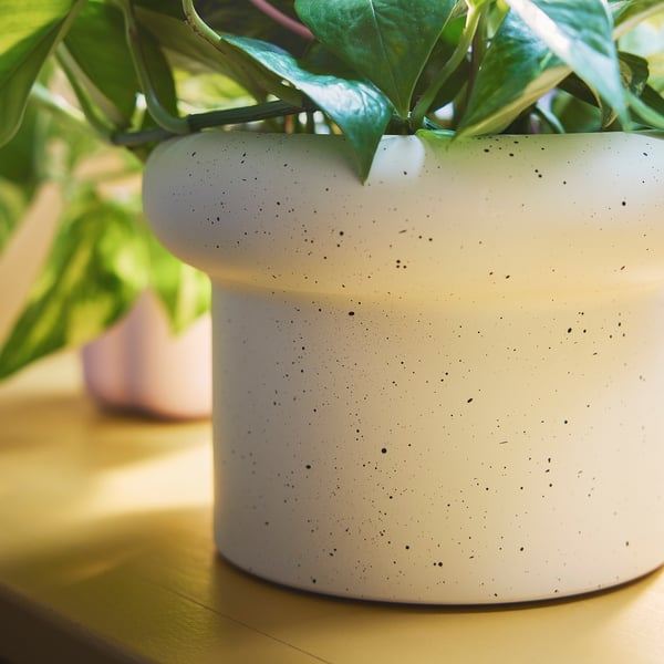DOFTRIPS Plant pot, off-white, 6 "