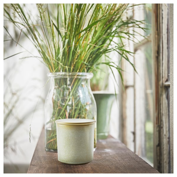 A green scented candle in a textured ceramic jar sits next to a glass vase with tall green grasses on a wooden shelf.