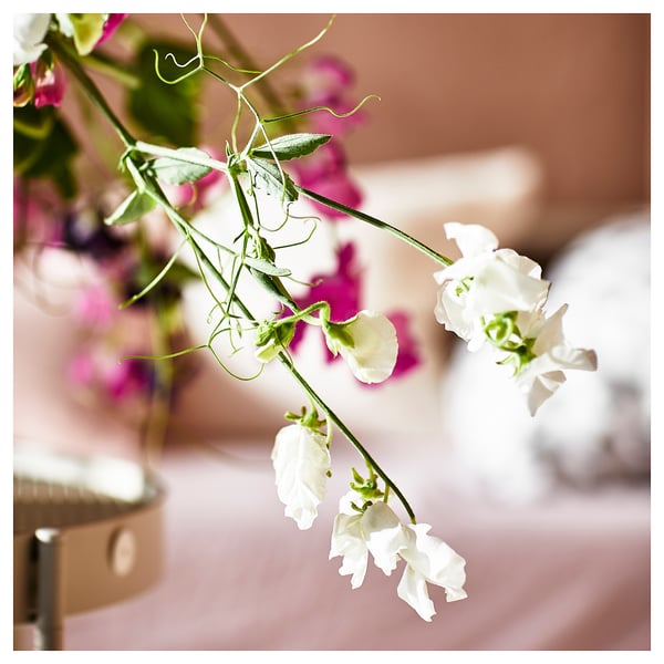 Delicate white sweet peas in a bouquet, their soft petals and green stems, set against a warm background.
