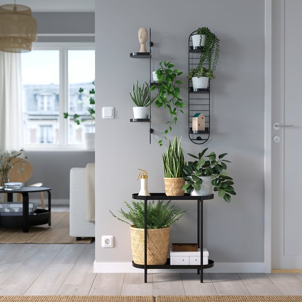 Modern room with SKUGGRÖNA plant stand and green plants between window and door.