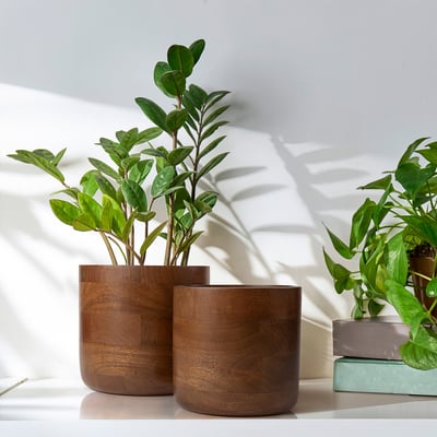 Two brown wooden planters with green plants, one larger than the other, on a white surface.