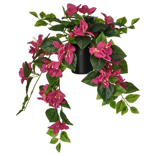 FEJKA Planta artificial en maceta, interior/exterior/Buganvilla rosado, 4 ¾ "
