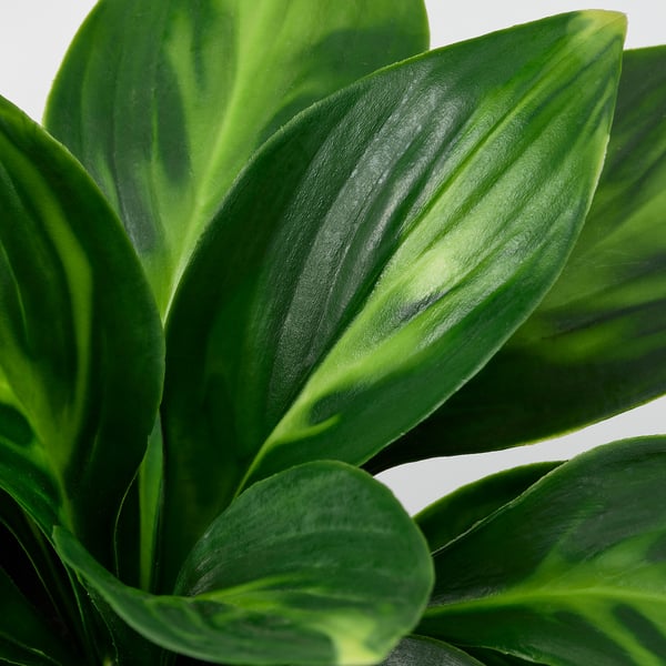 FEJKA Planta artificial en maceta, interior/exterior/hosta, 3 ½ "