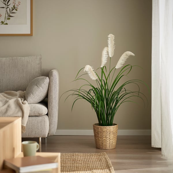 FRIDFULL Maceta, jacinto de agua, 7 ½ "