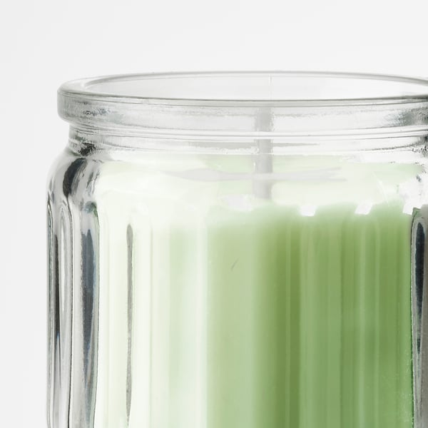 LÖVSKOGSLUND Vela aromática recipiente de vidrio, Manzana/verde claro, 12 hr