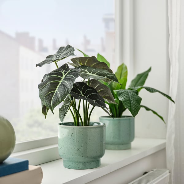 SAMMETSSYREN Maceta, interior/exterior/verde claro, 4 ¾ "