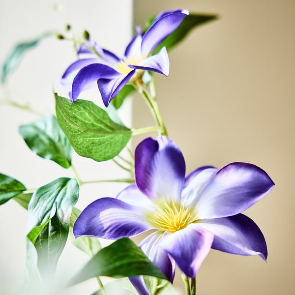SMYCKA Flor artificial, interior/exterior clemátide/azul, 38 ¼ "