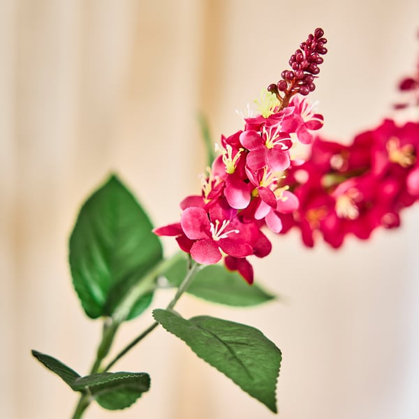 SMYCKA Flor artificial, interior/exterior verbasco/rosado oscuro, 31 "