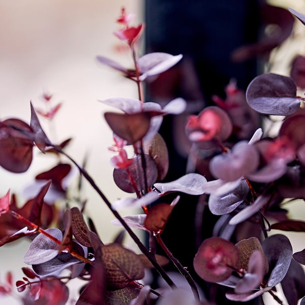 SMYCKA Hoja artificial, interior/exterior eucalipto/rojo, 29 ½ "