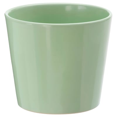 SOJABÖNA Maceta, verde claro, 3 ½ "