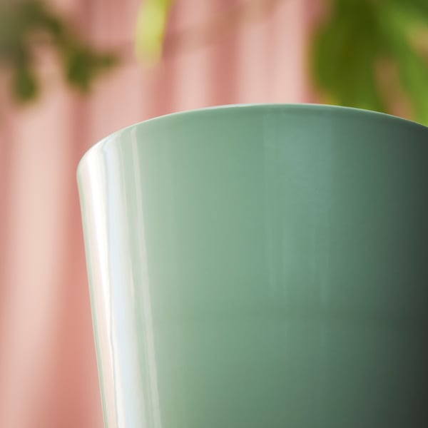 SOJABÖNA Maceta, verde claro, 3 ½ "