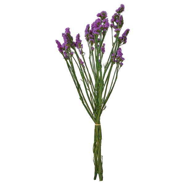 TORKA Partes secas de flores/plantas, ramillo/lila, 28 "