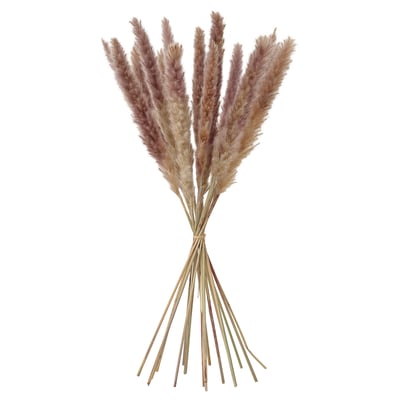 TORKA Plantas secas, ramillo/junco, 28 "