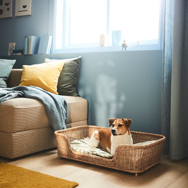 UTSÅDD Cama para perro, ratán, 31 ½x19 ¾x7 ¾ "